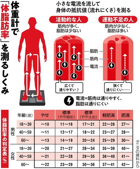 体重計 体脂肪率